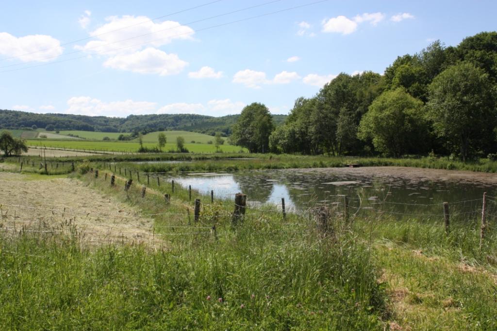 Klärteich Neuendorf