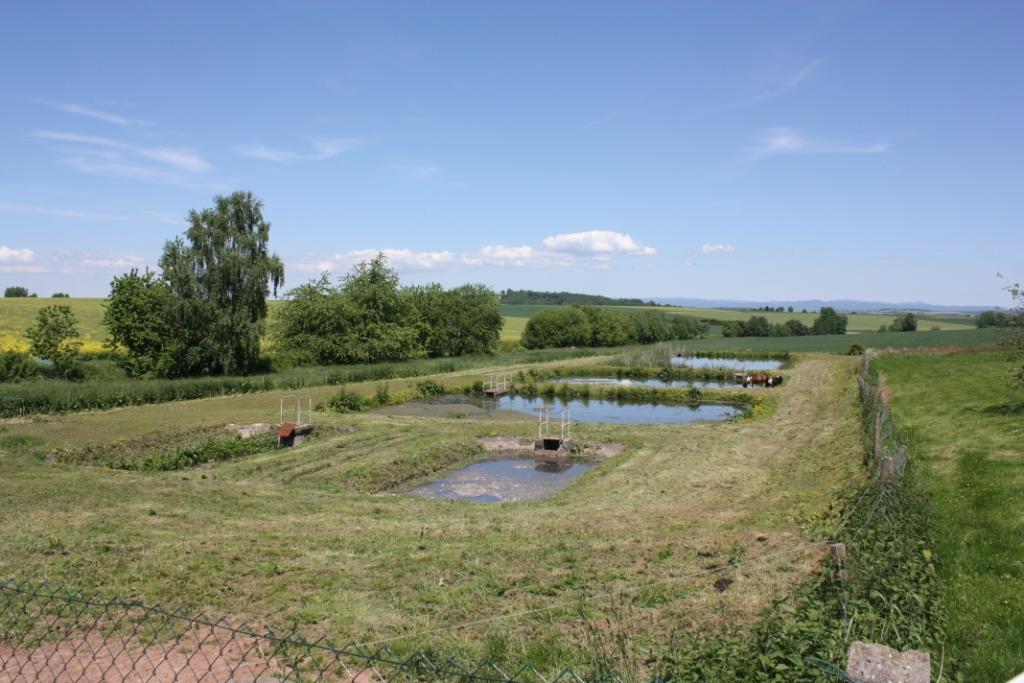 Klärteichanlage Böseckendorf